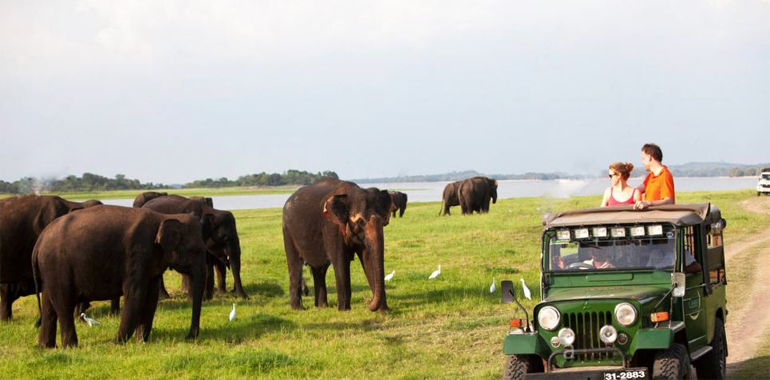 Ten reasons to visit the Land of Serendipity – Sri Lanka